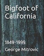 Bigfoot of California: 1849-1999 