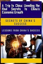 A Trip to China: Unveiling the Real Secrets to China's Economic Growth: Lessons from China's success 