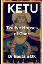 Ketu in Twelve Houses of Chart 