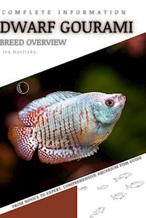 Dwarf Gourami: From Novice to Expert. Comprehensive Aquarium Fish Guide