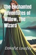 The Enchanted Adventures of Willow, The Wizard 