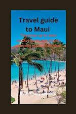 Travel guide to Maui : The most up to date pocket guide and tips to planning yourself to Maui. 