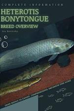 Heterotis bonytongue: From Novice to Expert. Comprehensive Aquarium Fish Guide 