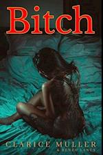 Bitch: A provocative tale of sex, passion, and intrigue. Unleash your inner sensuality 