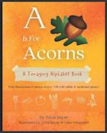 A Is For Acorns: A Foraging Alphabet Book 