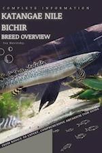 Katangae Nile Bichir: From Novice to Expert. Comprehensive Aquarium Fish Guide 