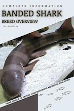 Banded Shark: From Novice to Expert. Comprehensive Aquarium Fish Guide 