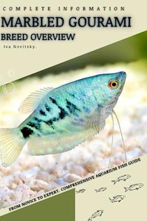 Marbled Gourami: From Novice to Expert. Comprehensive Aquarium Fish Guide