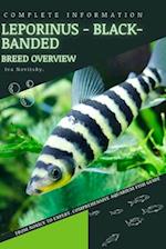 Leporinus - Black-banded: From Novice to Expert. Comprehensive Aquarium Fish Guide 