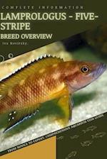 Lamprologus - Five-Stripe: From Novice to Expert. Comprehensive Aquarium Fish Guide 