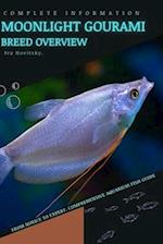 Moonlight Gourami: From Novice to Expert. Comprehensive Aquarium Fish Guide 