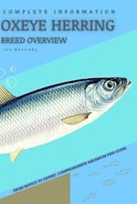 Oxeye Herring: From Novice to Expert. Comprehensive Aquarium Fish Guide 