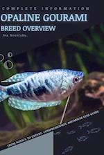 Opaline Gourami: From Novice to Expert. Comprehensive Aquarium Fish Guide 