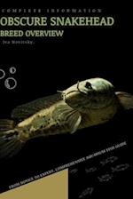 Obscure Snakehead: From Novice to Expert. Comprehensive Aquarium Fish Guide 