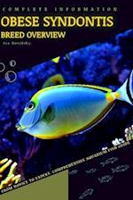 Obese Syndontis: From Novice to Expert. Comprehensive Aquarium Fish Guide 