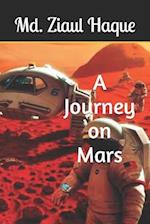 A Journey on Mars 