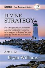 Divine Strategy: Knysna New Testament Series - Acts Chapters 1-12 