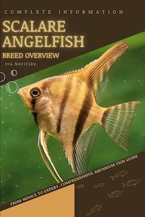 Scalare Angelfish: From Novice to Expert. Comprehensive Aquarium Fish Guide