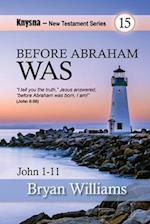 Before Abraham Was...: Knysna New Testament Series - John Chapters 1 to 11 