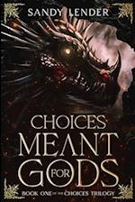 Choices Meant for Gods 