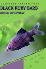 Black Ruby Barb: From Novice to Expert. Comprehensive Aquarium Fish Guide 