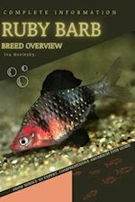 Ruby Barb: From Novice to Expert. Comprehensive Aquarium Fish Guide 