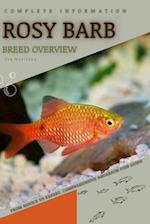 Rosy Barb: From Novice to Expert. Comprehensive Aquarium Fish Guide 