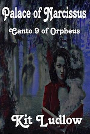Palace of Narcissus: Canto 9 of Orpheus