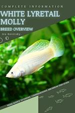 White Lyretail Molly: From Novice to Expert. Comprehensive Aquarium Fish Guide 