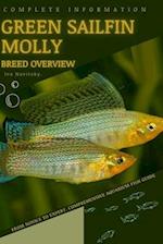 Green Sailfin Molly: From Novice to Expert. Comprehensive Aquarium Fish Guide 