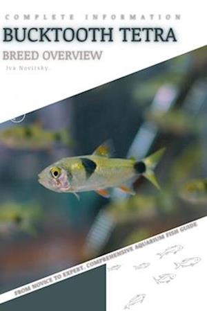 Bucktooth Tetra: From Novice to Expert. Comprehensive Aquarium Fish Guide