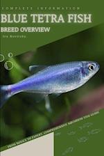 Blue Tetra Fish: From Novice to Expert. Comprehensive Aquarium Fish Guide 