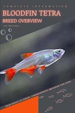 Bloodfin Tetra: From Novice to Expert. Comprehensive Aquarium Fish Guide 