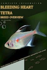 Bleeding Heart Tetra: From Novice to Expert. Comprehensive Aquarium Fish Guide 