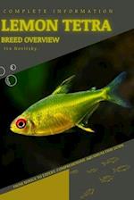 Lemon Tetra: From Novice to Expert. Comprehensive Aquarium Fish Guide 
