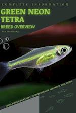 Green Neon Tetra: From Novice to Expert. Comprehensive Aquarium Fish Guide 