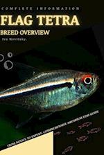 Flag Tetra: From Novice to Expert. Comprehensive Aquarium Fish Guide 