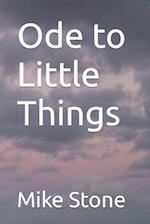Ode to Little Things 