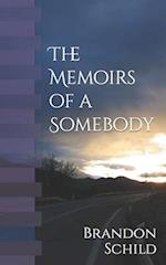 The Memoirs of a Somebody: Amanda's Vantage Point 
