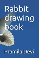 Rabbit drawing book 