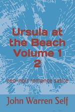 Ursula at the Beach Volume 1 2: neo-noir romance satire 