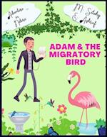 Adam & The migratory Bird 