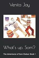 What's up, Som?: The Adventures of Som Shekar: Book 1 