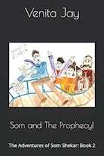 Som and The Prophecy!: The Adventures of Som Shekar: Book 2 