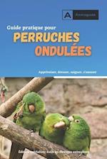 Guide pratique pour perruches ondulées