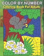 Color By Number Coloring Book For Adults