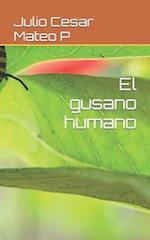 El gusano humano