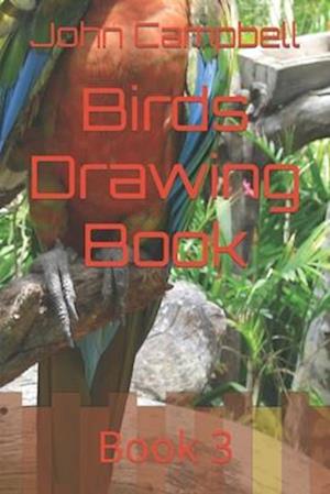 Birds Drawing Book: Book 3