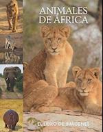 Animales de África