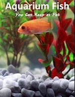 Aquarium Fish You Can Keep As Pets: A List Of Crazy, Exotic Fish To Keep As Pets 